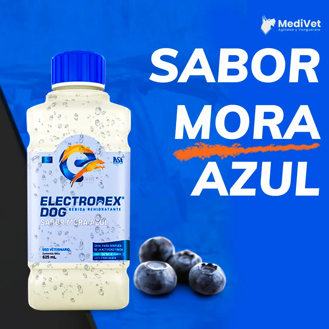 ELECTRODEX MORAAZUL